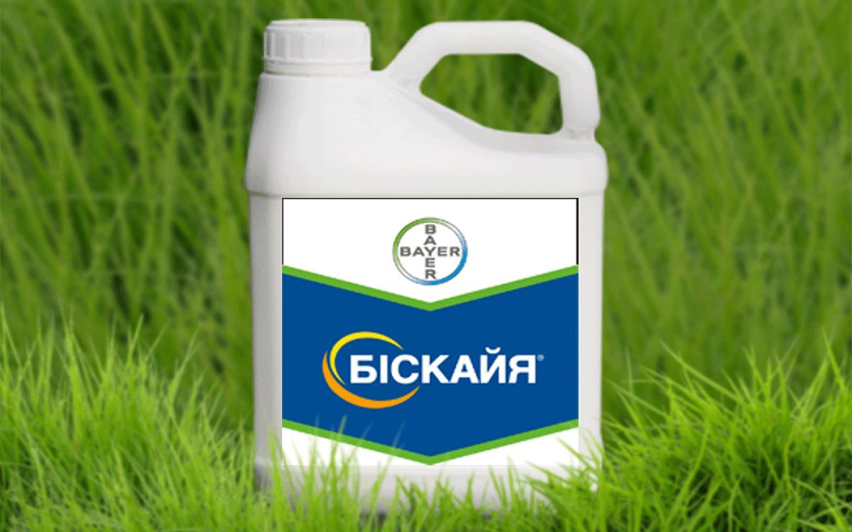 Біскайя®