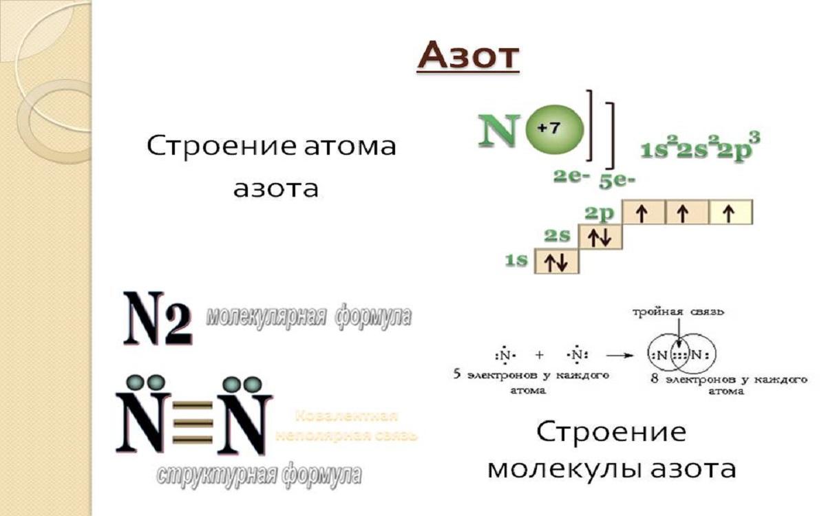 Что такое азот. Схема электронного строения азота. Строение электронной оболочки азота. Строение атома азота. Строение электронной оболочки атома азота.